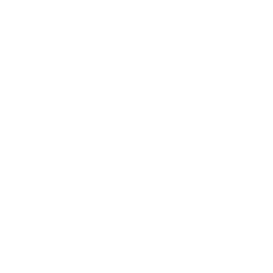 Certificate of <br>Status FL