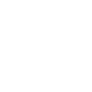 Form 2553 <br>Services