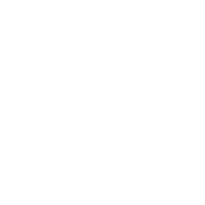 Registered <br>Agent